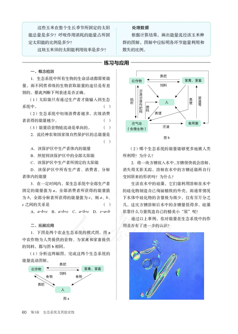 高中选修二生物_教资初高中_教资面试2025教资面试备考资料合集_教资面试资料合集_3、教资面试资料包大全_45大圣中小幼面试资料包_高中_生物_高中生物电子课本