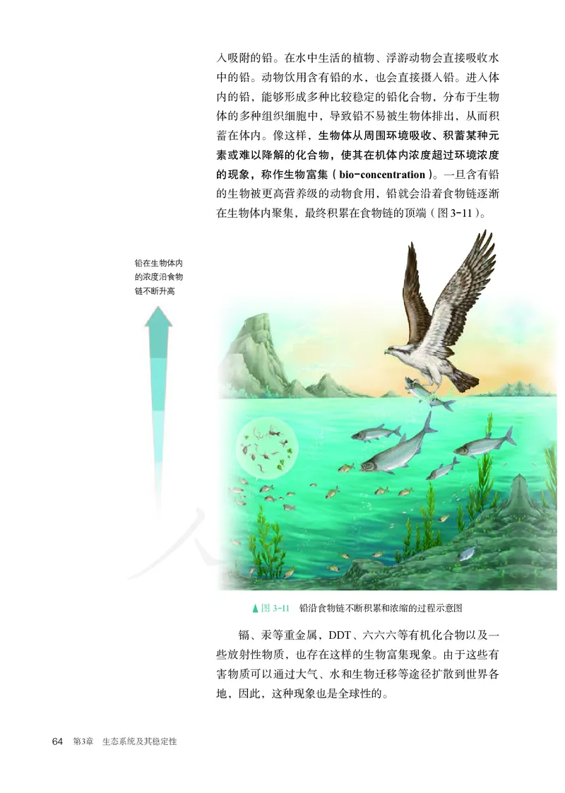 高中选修二生物_教资初高中_教资面试2025教资面试备考资料合集_教资面试资料合集_3、教资面试资料包大全_45大圣中小幼面试资料包_高中_生物_高中生物电子课本