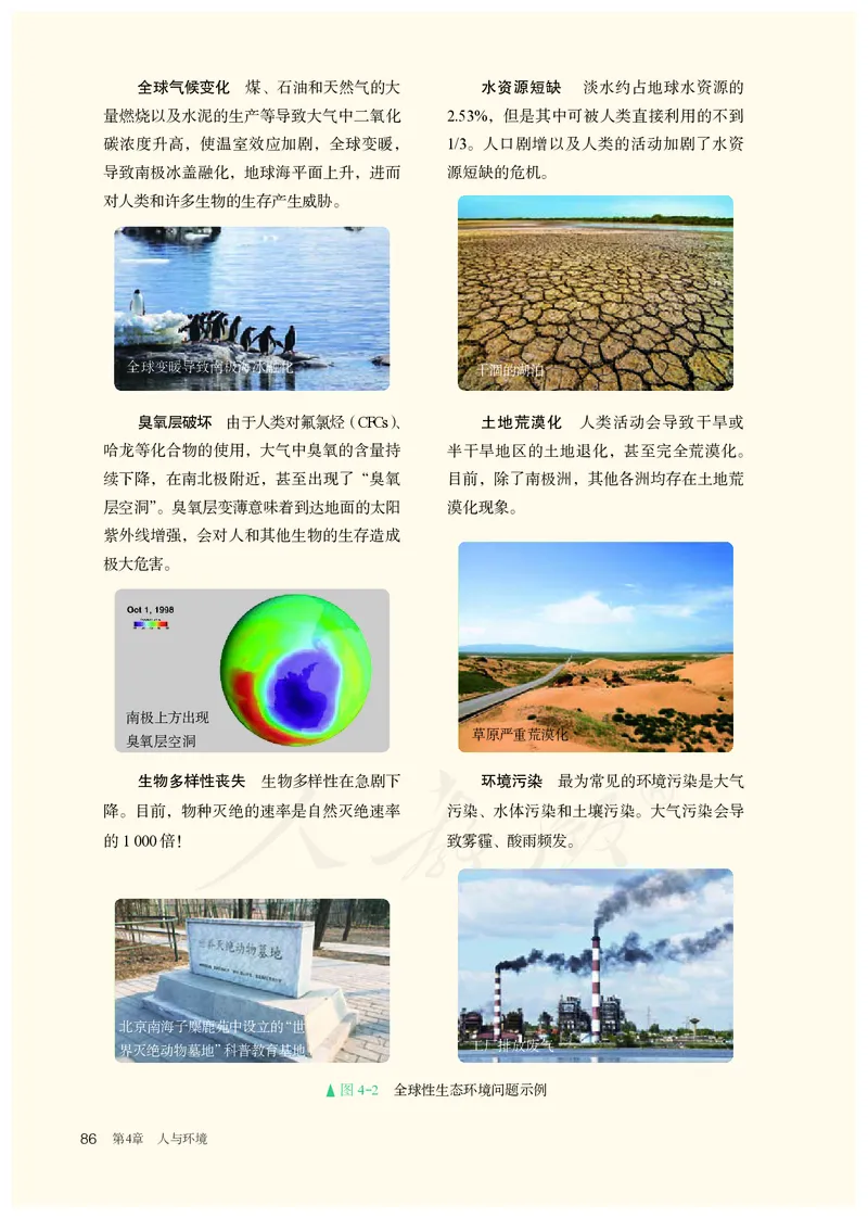 高中选修二生物_教资初高中_教资面试2025教资面试备考资料合集_教资面试资料合集_3、教资面试资料包大全_45大圣中小幼面试资料包_高中_生物_高中生物电子课本