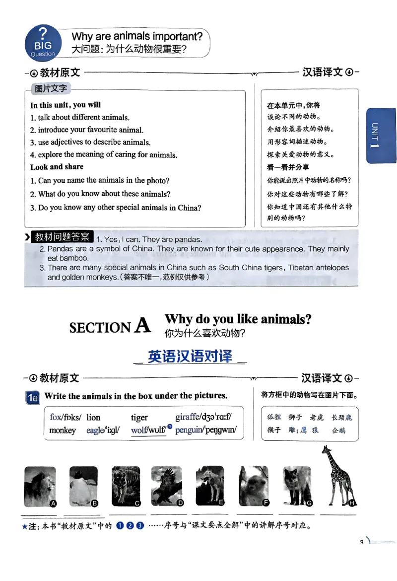 01-2025《初中教材全解》英语七下(人教)_新人教版7下英语学习资料包_14.配套教辅练习