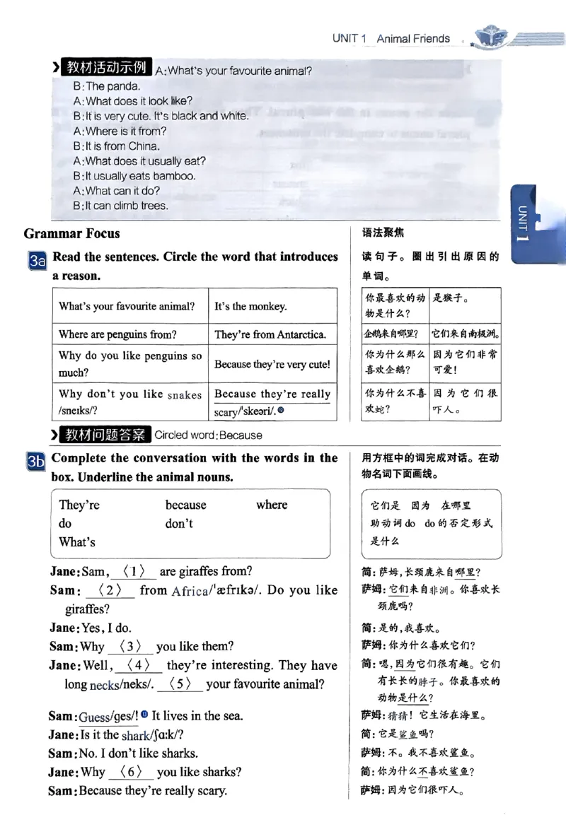 01-2025《初中教材全解》英语七下(人教)_新人教版7下英语学习资料包_14.配套教辅练习