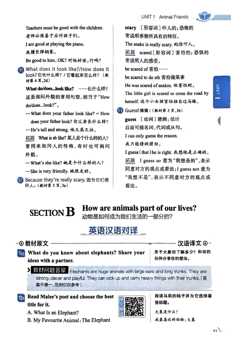 01-2025《初中教材全解》英语七下(人教)_新人教版7下英语学习资料包_14.配套教辅练习