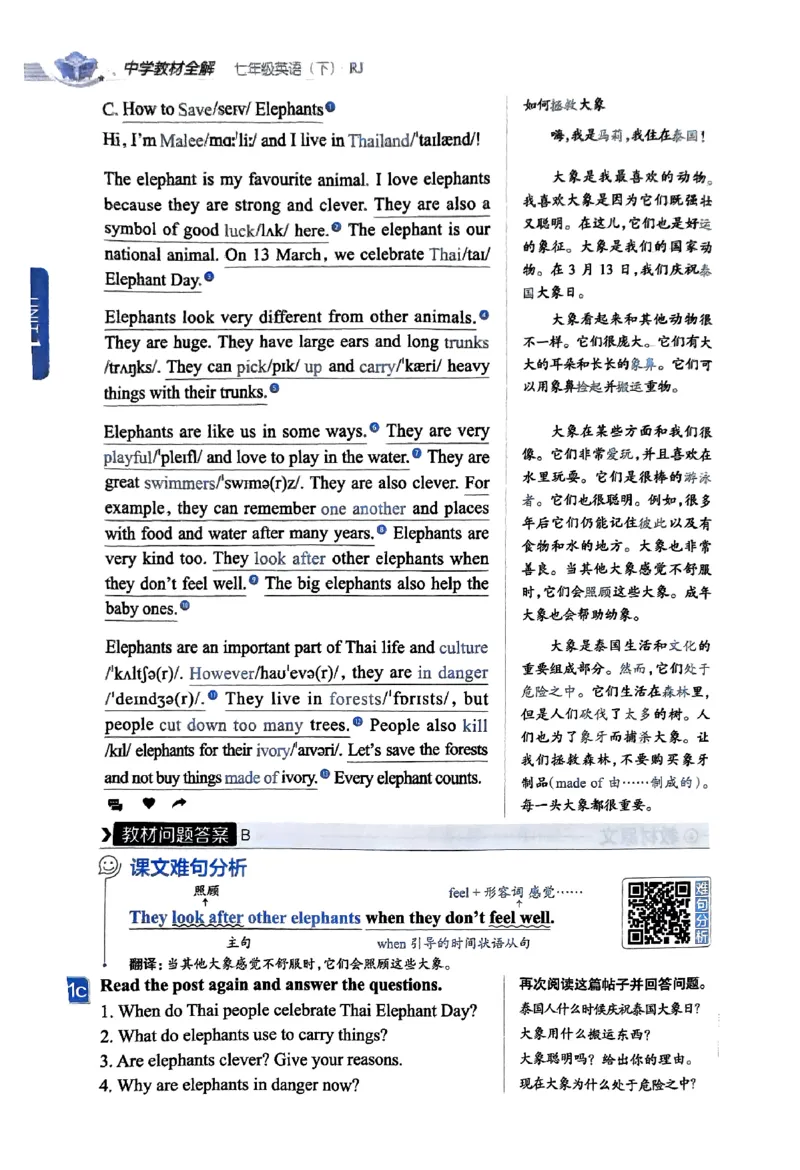 01-2025《初中教材全解》英语七下(人教)_新人教版7下英语学习资料包_14.配套教辅练习
