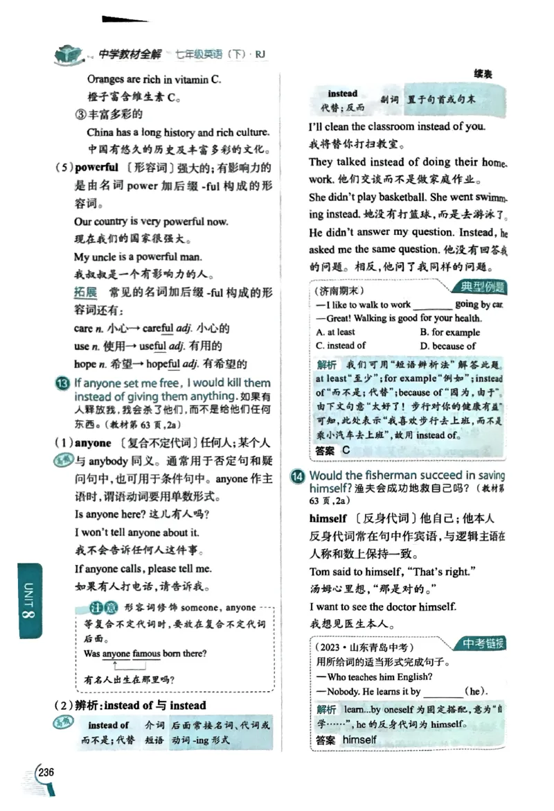 01-2025《初中教材全解》英语七下(人教)_新人教版7下英语学习资料包_14.配套教辅练习