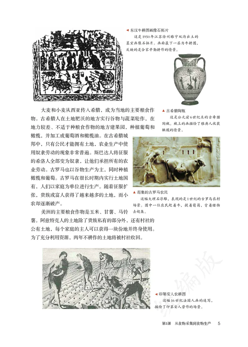 高中选修二历史_教资初高中_教资面试2025教资面试备考资料合集_教资面试资料合集_3、教资面试资料包大全_45大圣中小幼面试资料包_高中_历史_高中历史电子课本