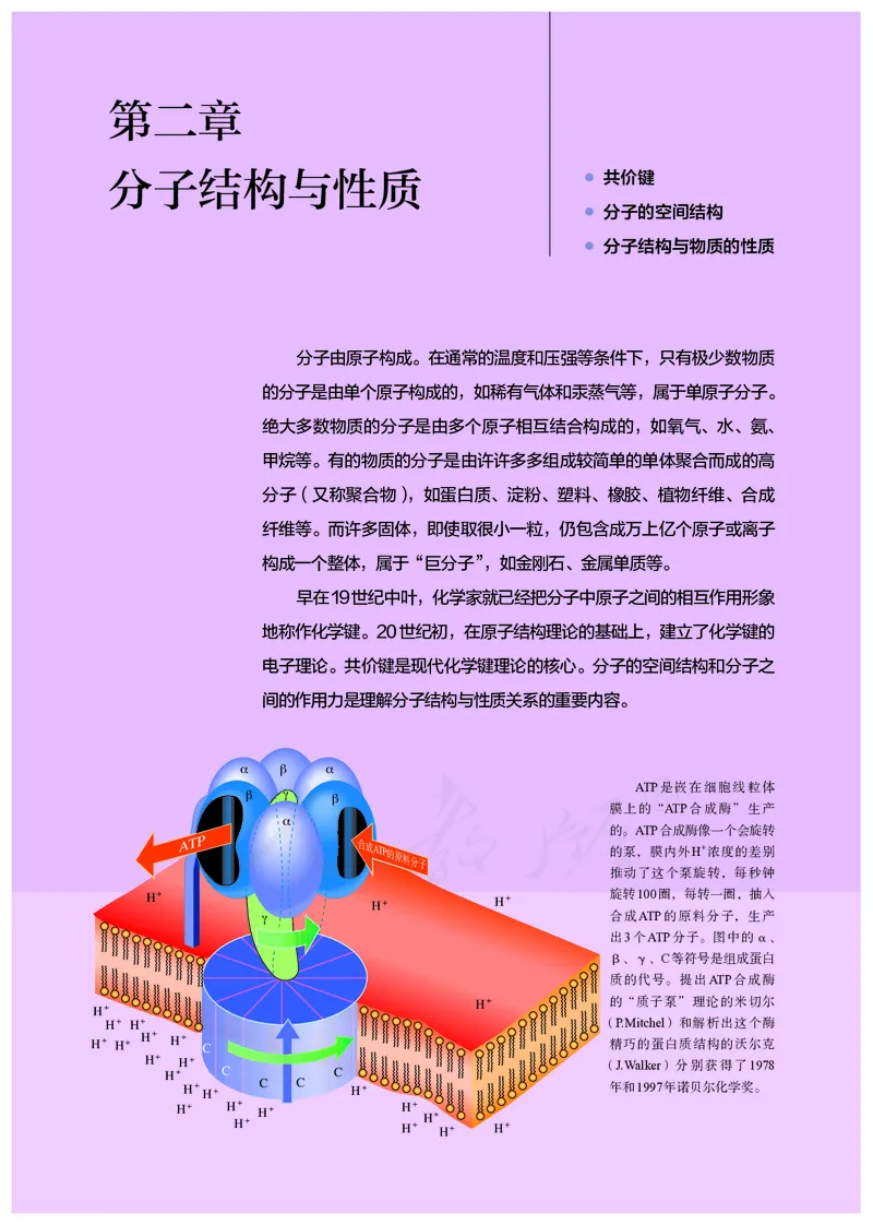 高中选修二化学（人教版）_教资初高中_教资面试2025教资面试备考资料合集_教资面试资料合集_3、教资面试资料包大全_45大圣中小幼面试资料包_高中_化学_高中化学电子课本