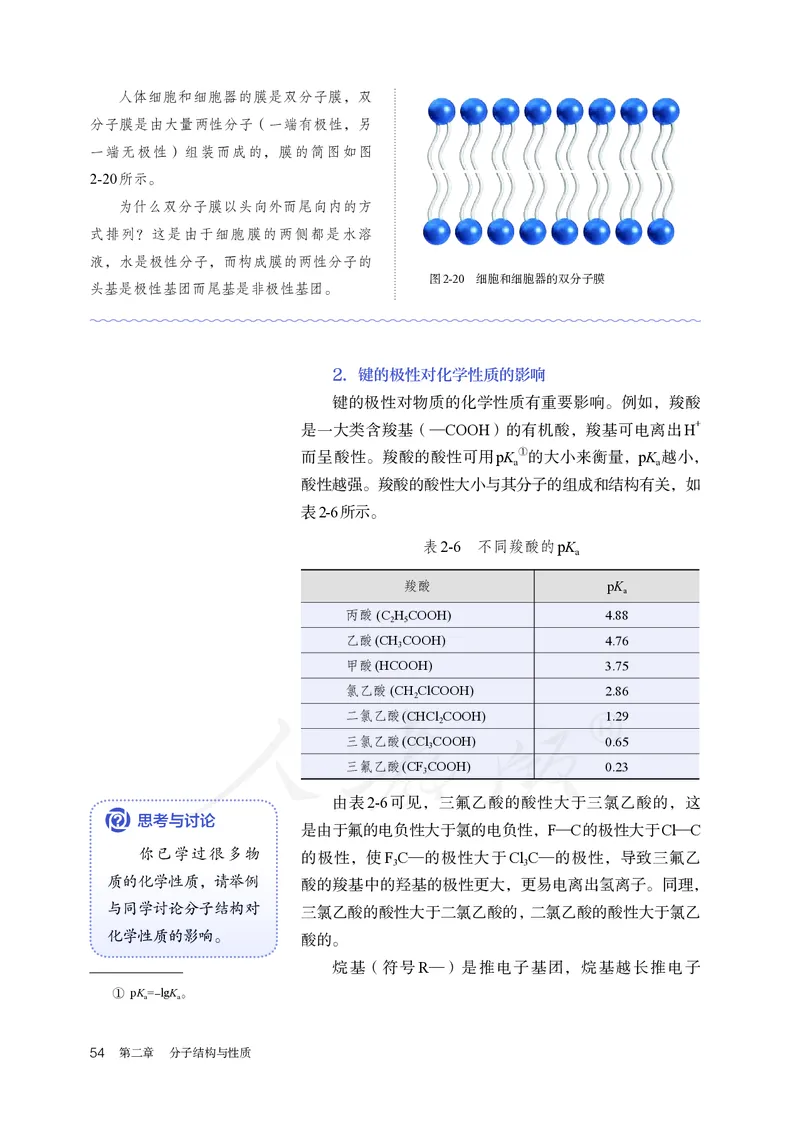 高中选修二化学（人教版）_教资初高中_教资面试2025教资面试备考资料合集_教资面试资料合集_3、教资面试资料包大全_45大圣中小幼面试资料包_高中_化学_高中化学电子课本