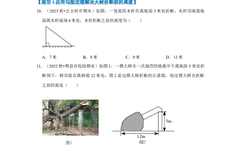专题03勾股定理应用（十二大类型）（题型专练）（原卷版）_初中数学人教版_八年级数学下册_保存转存之后查看(1)_8下-初中数学人教版（2026春新版持续更新）_旧版-可参考_07专项讲练