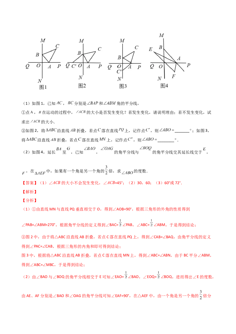 专题03三角形折叠求角（解析版）_初中数学人教版_8上-初中数学人教版_旧版_07专项讲练_微专题八年级数学上册常考点微专题提分精练（人教版）