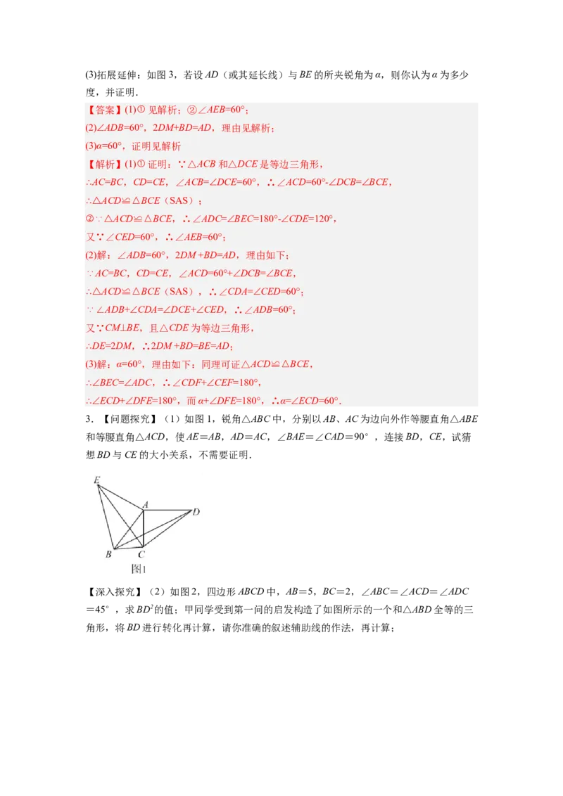 专题02手拉手模型（解析版）_初中数学人教版_8上-初中数学人教版_旧版_07专项讲练_八年级数学上册全等三角形基本模型探究（人教版）