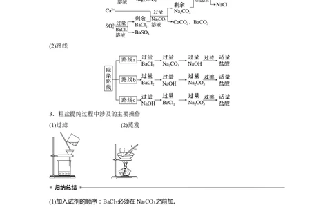 2023年高考化学一轮复习（全国版）第1章第3讲　必做实验提升(一)　用化学沉淀法去除粗盐中的杂质离子_05高考化学_通用版（老高考）复习资料_2023年复习资料_一轮复习