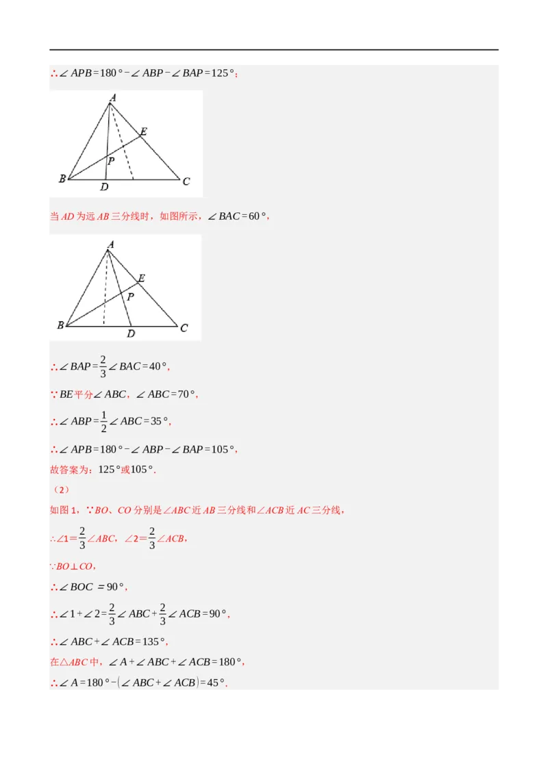 专题01：三角形十九大必考点（解析版）_初中数学人教版_8上-初中数学人教版_2025秋季新人教版数学八上课件教案_10-期中试卷及答案解析