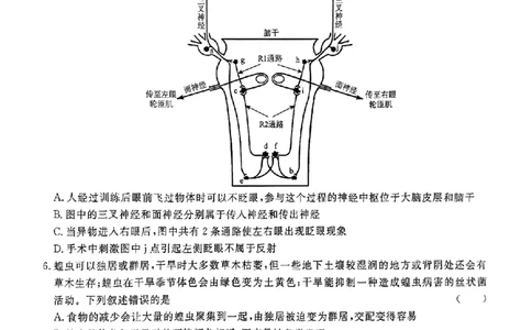 2023届河南省青桐鸣高三2月联考理综（没答案）_05高考化学_高考模拟题_新高考
