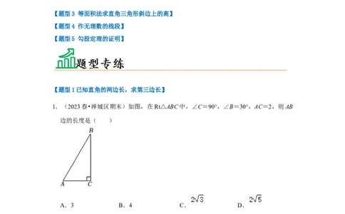 专题01勾股定理（五大类型）（题型专练）（解析版）_初中数学人教版_八年级数学下册_保存转存之后查看(1)_8下-初中数学人教版（2026春新版持续更新）_旧版-可参考_07专项讲练
