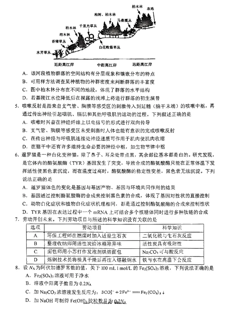 2023届四川省南充市高三下学期高考适应性考试（二诊）理科综合试题公众号：一枚试卷君_05高考化学_高考模拟题_新高考_2023四川省南充市高三下学期高考适应性考试（南充二诊）理综