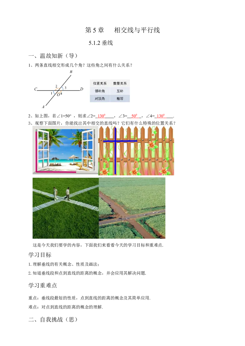 5.1.2垂线（解析卷）_初中数学人教版_7下-初中数学人教版_7下-初中数学人教版（旧版）赠送_05学案_导学案（第1套）_5.1.2垂线导学案（原卷版+解析版）