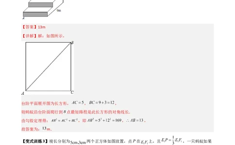专题03勾股定理应用的四种考法全攻略（解析版）_初中数学人教版_八年级数学下册_保存转存之后查看(1)_8下-初中数学人教版（2026春新版持续更新）_旧版-可参考_07专项讲练