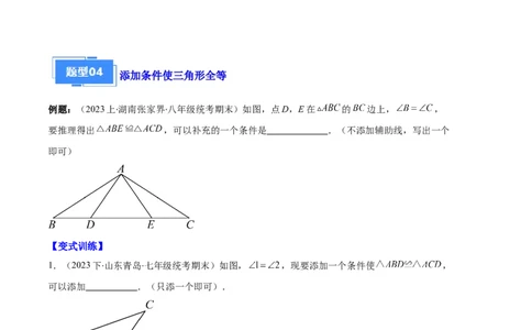 专题02三角形全等的性质与判定、角平分线之八大题型（原卷版）_初中数学人教版_8上-初中数学人教版_旧版_06习题试卷_6期中期末复习专题