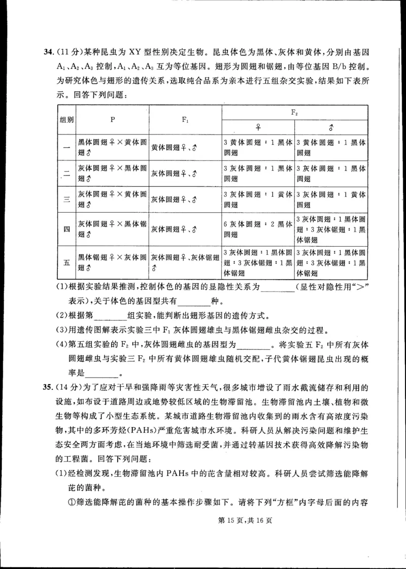 2023届吉林省通化市梅河口市第五中学高三三模理综试题_05高考化学_高考模拟题_新高考