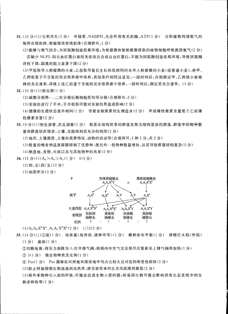 2023届吉林省通化市梅河口市第五中学高三三模理综试题_05高考化学_高考模拟题_新高考