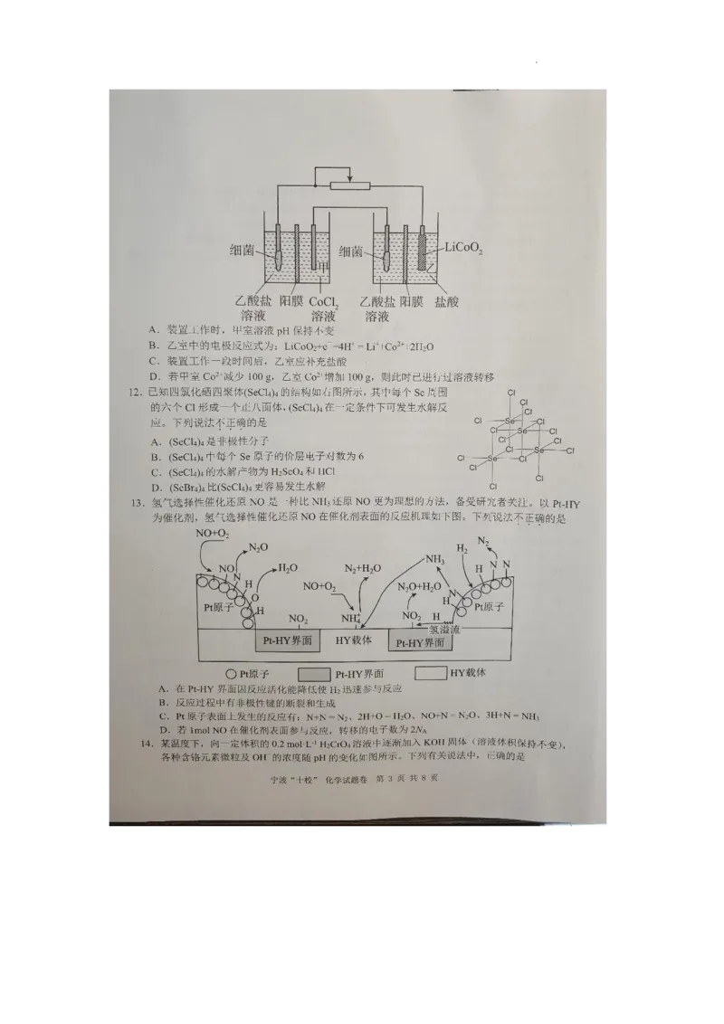 2023届浙江省宁波市十校高三下学期3月（二模）丨化学_05高考化学_高考模拟题_新高考