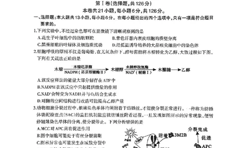 2023届广西壮族自治区柳州市高三第三次模拟考试理综公众号：一枚试卷君_05高考化学_高考模拟题_新高考_2023届广西柳州市高三第三次模拟考试理综