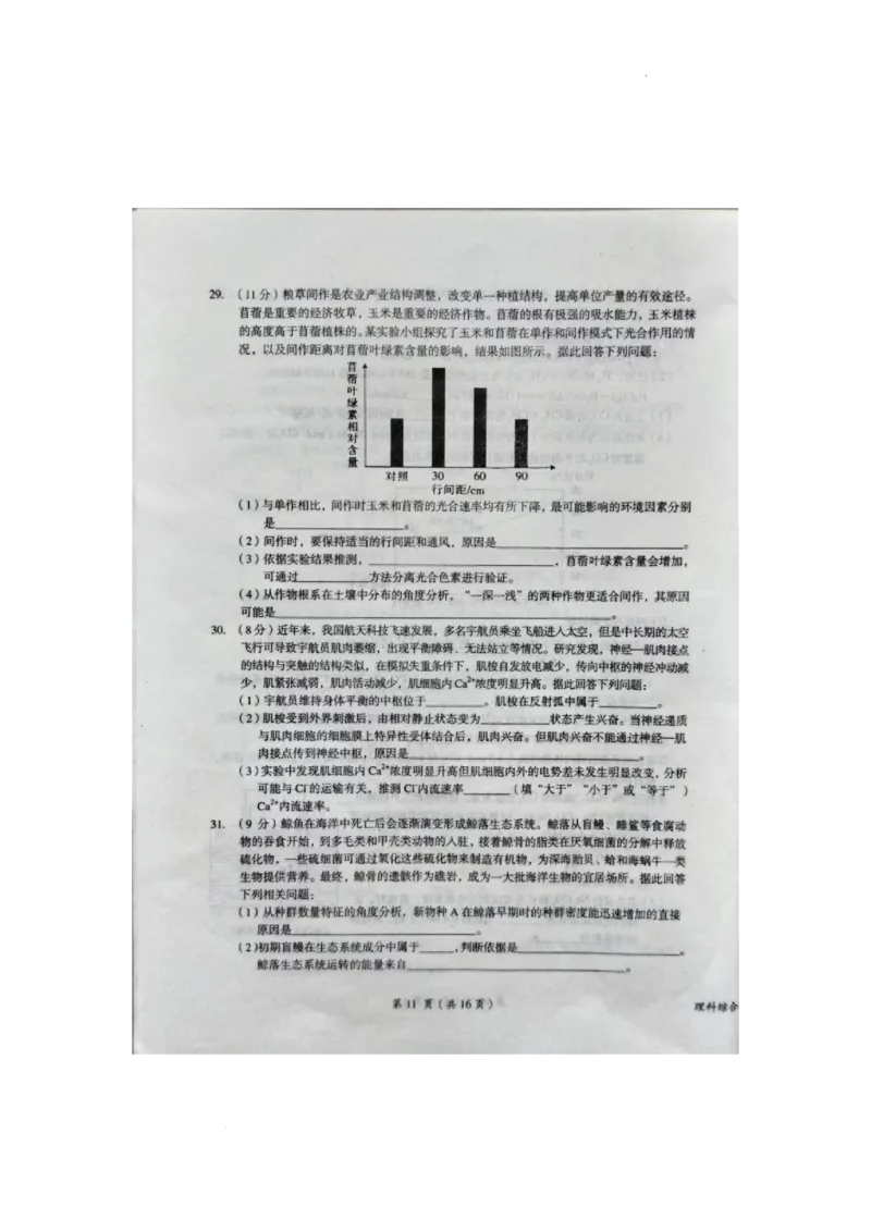 2023届江西省鹰潭市高三第一次模拟考试理综_05高考化学_高考模拟题_新高考