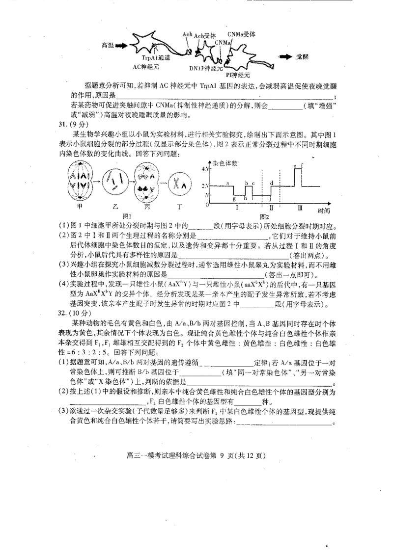 2023届四川省内江市高三第一次模拟考试理综试题_05高考化学_高考模拟题_全国课标版_2023届四川省内江市高三第一次模拟考试理综_2023届四川省内江市高三第一次模拟考试理综