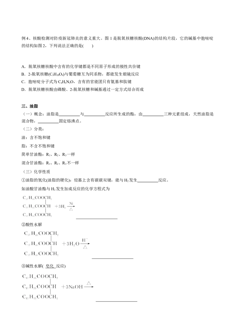 02考点九营养物质（学生版）_05高考化学_2025年新高考资料_一轮复习_2025年高考化学一轮复习基础知识讲义（新高考通用）（完结）_专题二有机化学