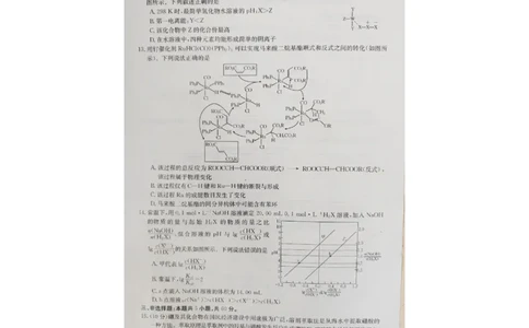 2023届海南省高三一轮复习调研考试化学试题_05高考化学_高考模拟题_新高考