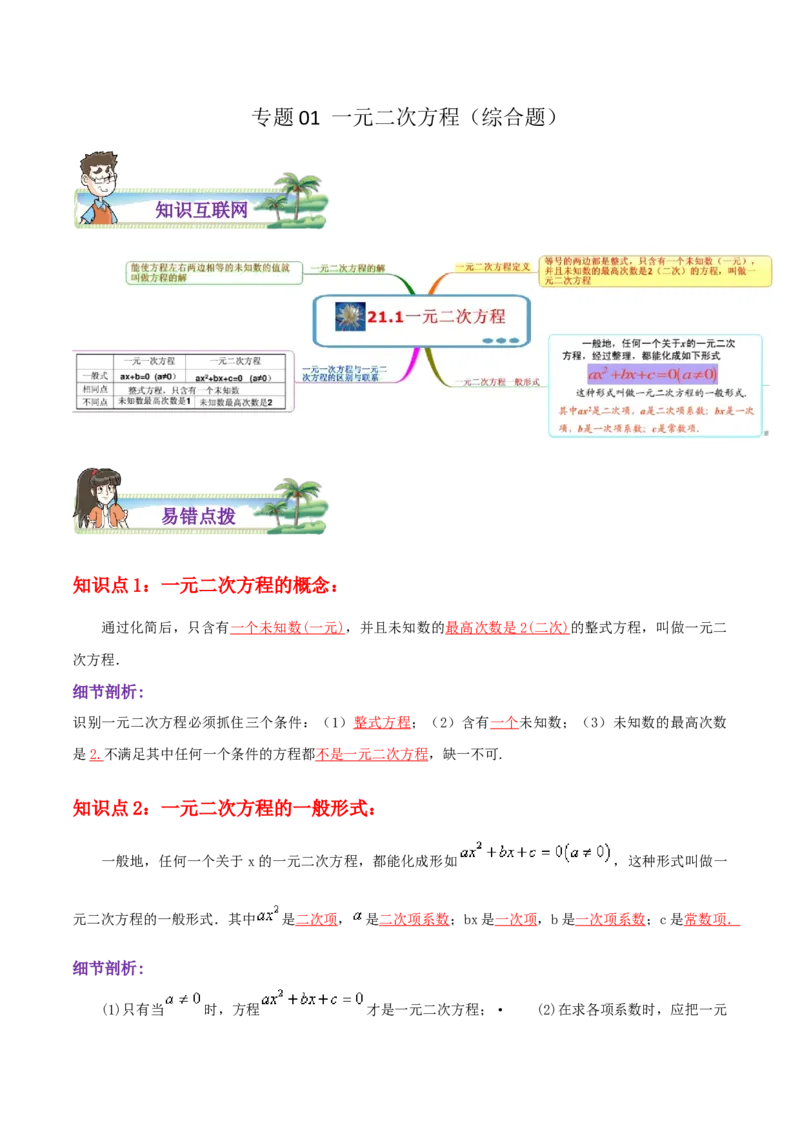 专题01一元二次方程综合题（解析版）_初中数学人教版_9上-初中数学人教版_07专项讲练_培优方案九年级数学上册章节重点复习考点讲义（人教版）