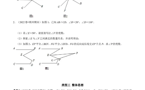 专题2相交线与平行线中蕴含的数学思想（原卷版）_初中数学人教版_7下-初中数学人教版_7下-初中数学人教版（旧版）赠送_07专项讲练