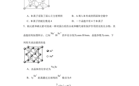 专项训练晶胞中正四面体空隙的判断（原卷版）_05高考化学_新高考复习资料_2024年新高考资料_一轮复习资料_2024届高三化学一轮复习&mdash;专项训练