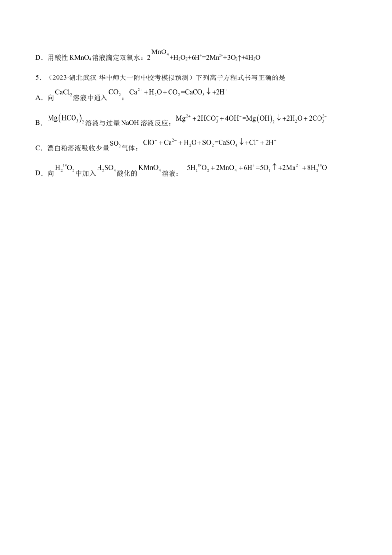 专题03离子反应（讲义）（原卷版）_05高考化学_2024年新高考资料_2.2024二轮复习_高频考点2024年高考化学二轮复习高频考点追踪与预测（新高考专用）