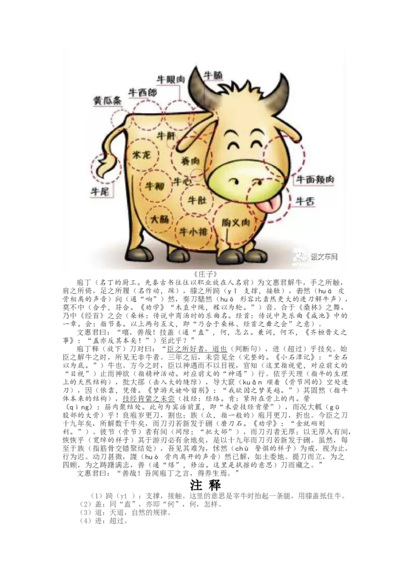 统编版语文必修下册文言文精讲资料_高语_人教版高中语文_02部编高中语文必修下册_04素材