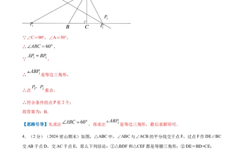 专题04等腰三角形的判定（解析版）_初中数学人教版_8上-初中数学人教版_2025秋季新人教版数学八上课件教案_09-难点专项压轴训练