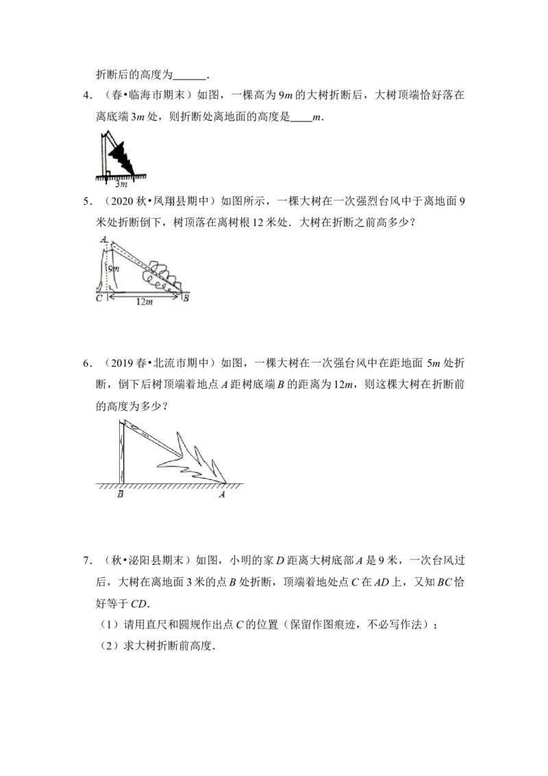 专题10勾股定理之大树折断模型综合应用（2大类型）（原卷版）_初中数学人教版_八年级数学下册_保存转存之后查看(1)_8下-初中数学人教版（2026春新版持续更新）_旧版-可参考_06习题试卷