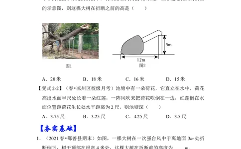专题10勾股定理之大树折断模型综合应用（2大类型）（原卷版）_初中数学人教版_八年级数学下册_保存转存之后查看(1)_8下-初中数学人教版（2026春新版持续更新）_旧版-可参考_06习题试卷