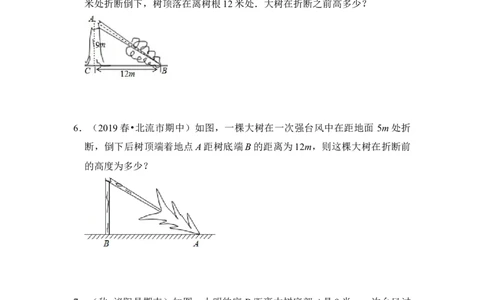 专题10勾股定理之大树折断模型综合应用（2大类型）（原卷版）_初中数学人教版_八年级数学下册_保存转存之后查看(1)_8下-初中数学人教版（2026春新版持续更新）_旧版-可参考_06习题试卷
