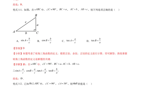 专题28.1锐角三角函数（九大考点）（解析版）_初中数学人教版_9下-初中数学人教版_07专项讲练_2023-2024学年九年级数学下册考点剖析及精准练习（人教版）