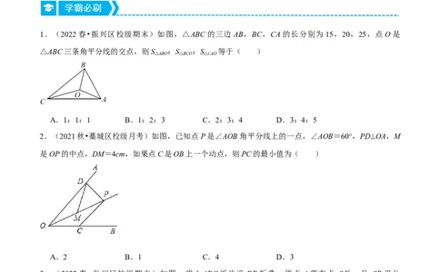 专题12.3角平分线模型（压轴题专项讲练）（人教版）（原卷版）_初中数学人教版_8上-初中数学人教版_旧版_07专项讲练_八年级数学上册从重点到压轴（人教版）