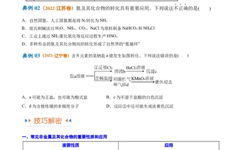 专题06非金属及其重要化合物（讲义）（原卷版）_05高考化学_新高考复习资料_2024年新高考资料_二轮复习资料_讲义