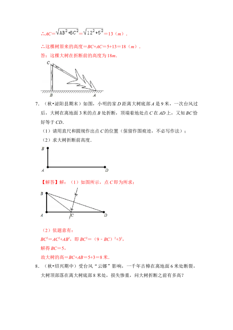 专题10勾股定理之大树折断模型综合应用（2大类型）（解析卷）_初中数学人教版_八年级数学下册_保存转存之后查看(1)_8下-初中数学人教版（2026春新版持续更新）_旧版-可参考_06习题试卷