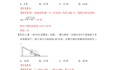 专题10勾股定理之大树折断模型综合应用（2大类型）（解析卷）_初中数学人教版_八年级数学下册_保存转存之后查看(1)_8下-初中数学人教版（2026春新版持续更新）_旧版-可参考_06习题试卷