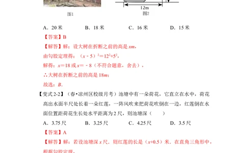 专题10勾股定理之大树折断模型综合应用（2大类型）（解析卷）_初中数学人教版_八年级数学下册_保存转存之后查看(1)_8下-初中数学人教版（2026春新版持续更新）_旧版-可参考_06习题试卷