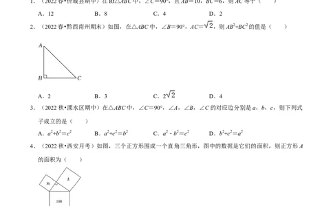 专题17.1勾股定理专项提升训练（重难点培优）-拔尖特训2023年培优（原卷版）人教版_初中数学人教版_八年级数学下册_保存转存之后查看(1)_旧版-可参考_07专项讲练