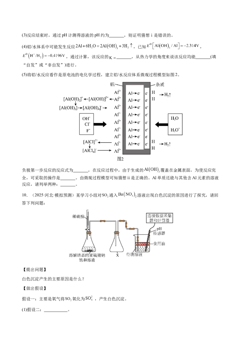 专题25化学实验综合题&mdash;&mdash;性质探究类（原卷版）-备战2025年高考化学二轮&middot;突破提升专题复习讲义（新高考通用）_05高考化学_2025年新高考资料_二轮复习_01高考语文等多个文件