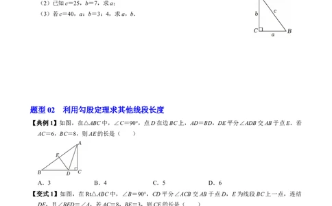 专题20.1勾股定理（高效培优讲义）（试题版）_初中数学人教版_八年级数学下册_保存转存之后查看(1)_2026春季新版-持续更新中_第二套-知_08讲义练习
