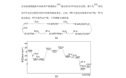 专项训练反应机理中的过渡态理论（解析版）_05高考化学_新高考复习资料_2024年新高考资料_一轮复习资料_2024届高三化学一轮复习&mdash;专项训练