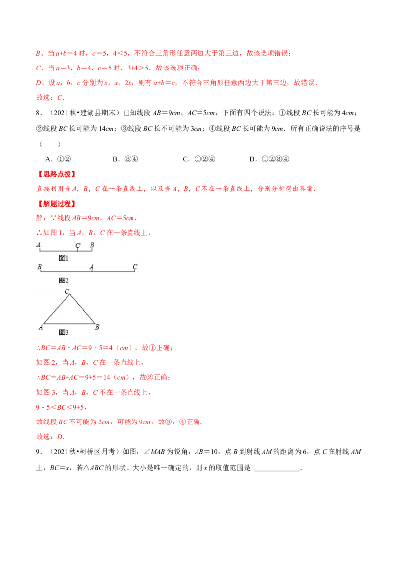 专题11.1三角形的三边关系（重点题专项讲练）（人教版）（解析版）_初中数学人教版_8上-初中数学人教版_旧版_07专项讲练_八年级数学上册从重点到压轴（人教版）